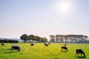 NMV verrijkt dagelijks bestuur met woordvoerder