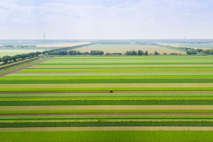 Agrarische grondprijs in derde kwartaal opnieuw gedaald