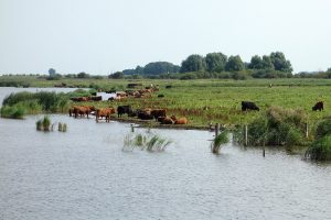 Kringlooplandbouw voor beter waterbeheer