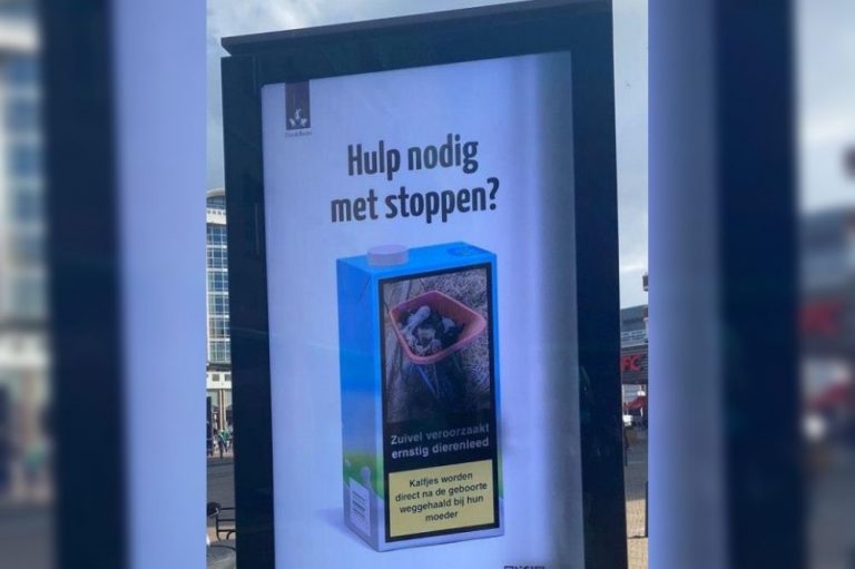 Agractie roept op tot aangifte tegen anti-zuivelcampagne Dier&Recht