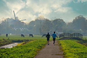 Landschappelijke inpassing van kringlooplandbouw