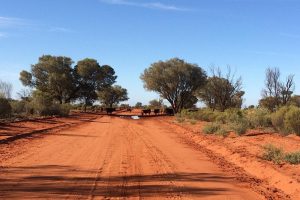 Melkproductie in Australië na jaren licht gestegen