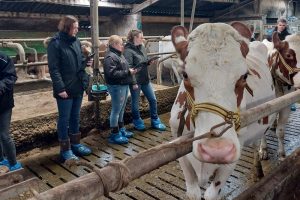 Zone.college organiseert Vakwedstrijddag voor Agro challenge en Koeienkeuren