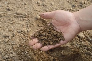 Samenwerken aan beter bodembeheer