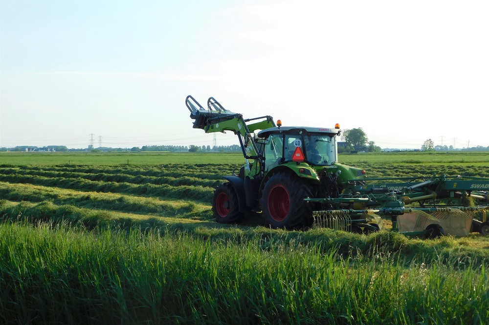 Grasland beslaat 53 procent van de Nederlandse landbouwgrond