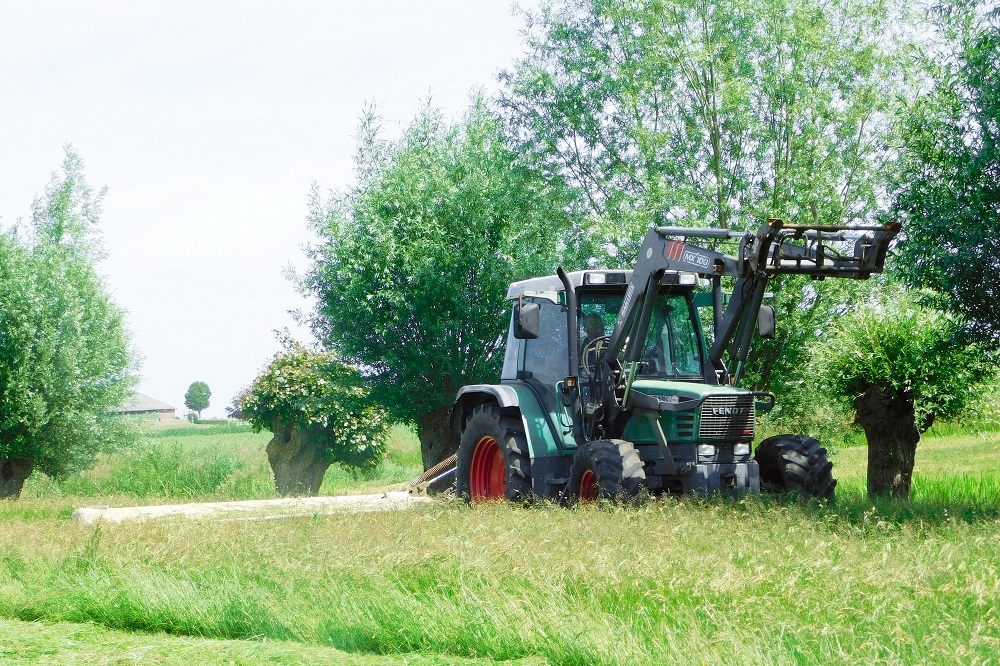 Koe en Eiwit-tool brengt graslandmanagement deelnemers in beeld