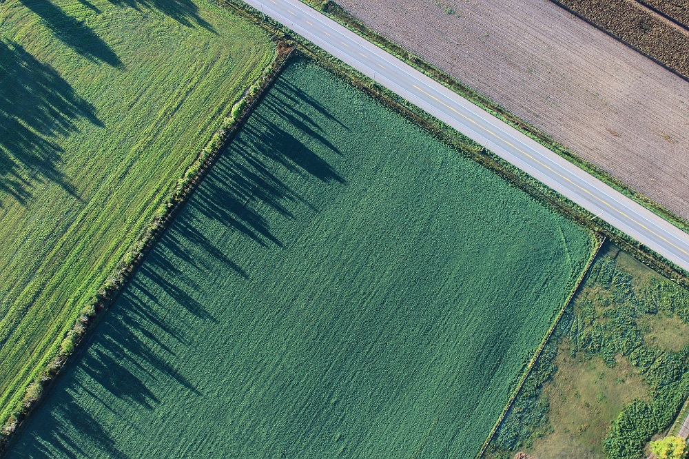 Sallandse boeren lichten veldexperimenten uit GLB-pilot toe