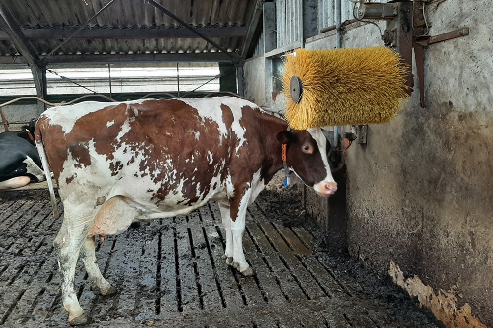 "Misschien is haar rust wel het geheim"