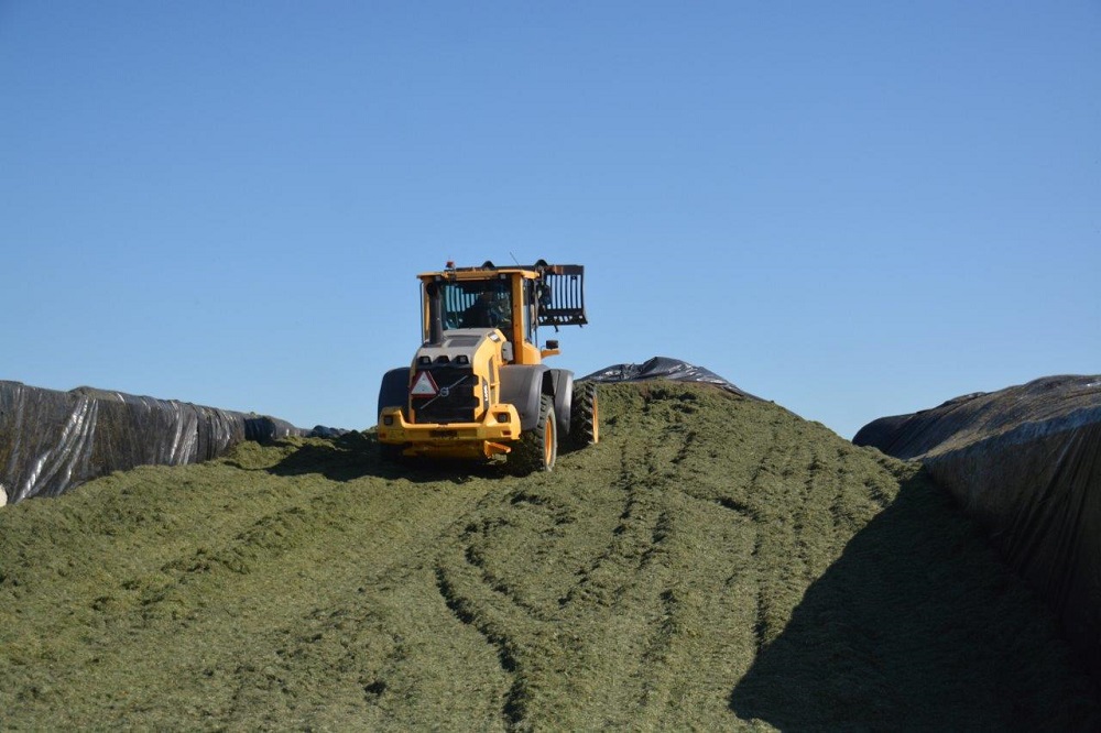 Kuiltoevoegmiddelen Ecosyl Bio en Ecocool Bio nu op inputlijst Skal Biocontrole