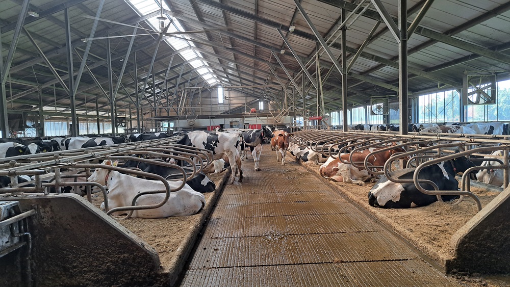 De dichte vloer wordt schoongehouden door een Lely Discoverey. 