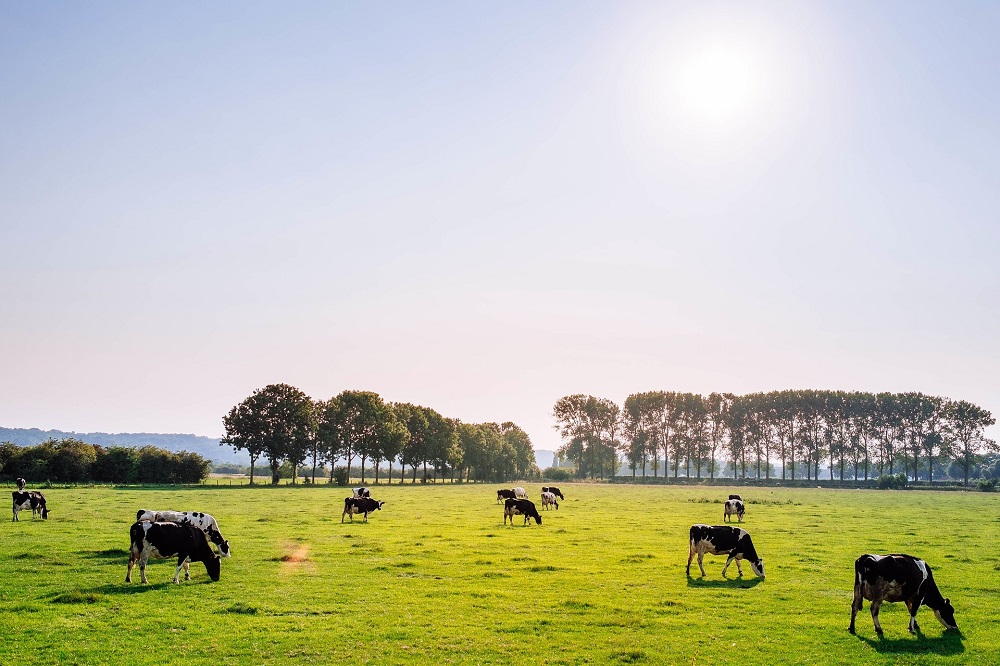 ‘We willen de structurele hooggebruikers van antibiotica verminderen’