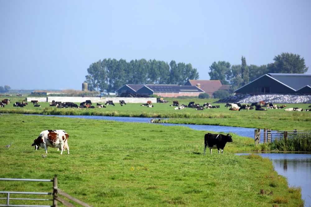 Wordt intern salderen weer vergunningsplichtig?