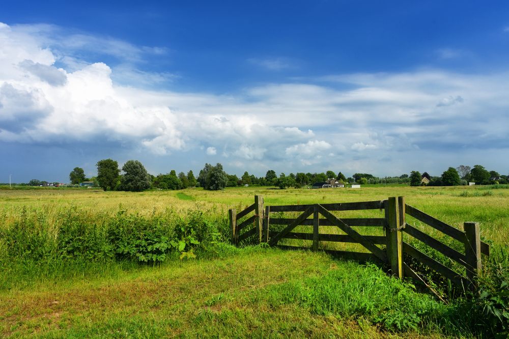 Forse toename agrarisch natuurbeheer: op naar 280.000 hectare