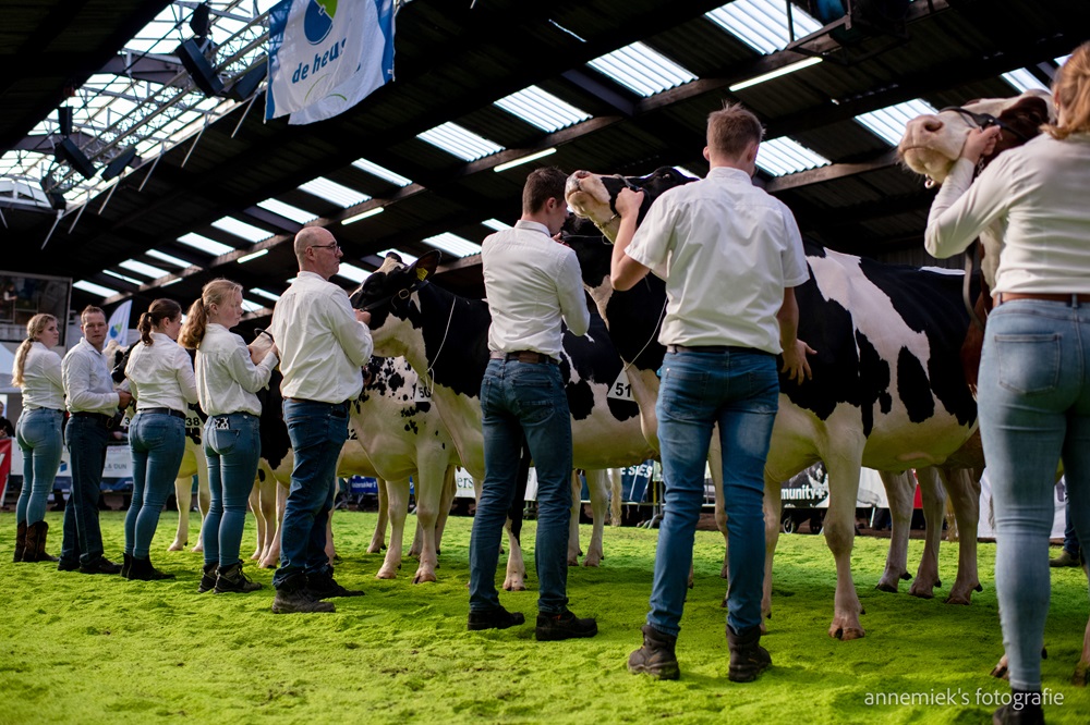 Wintershow West-Brabant op 31 januari 2025