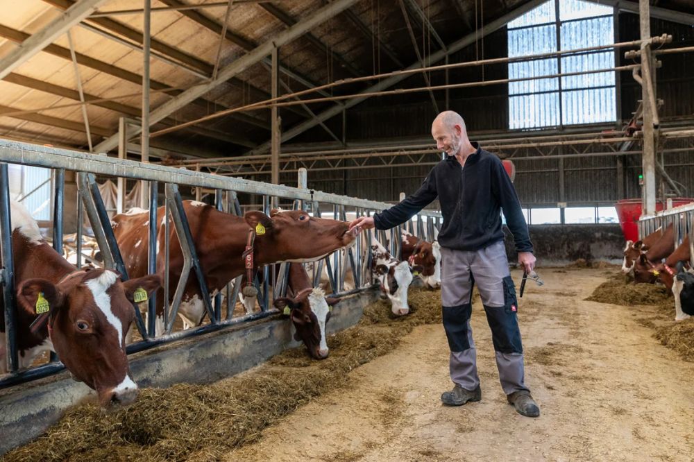 13 honderdtonners op één bedrijf bij familie Van der Eijk