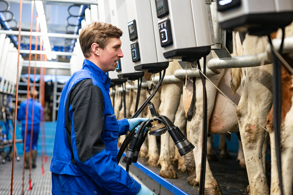 DeLaval brengt het melken naar een hoger niveau met de nieuwe Melkstal Automatisering