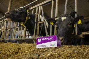 AHV StopLac Tablet: Een waardig middel om de droogstand te faciliteren